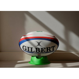 Мячи регбийные